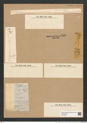 Toxarium undulatum Bail. (de-Toni-Nr.: Genus 69, Species 2686) Zeichnungen Sammlung Grunow Nr. 5510 (NHMW-BOT-W0373953)